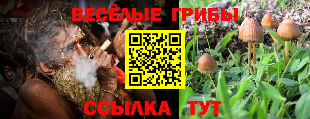 Галлюциногенные грибы Psilocybe  Галлюциногенные грибы Psilocybine cubensis  Вход с VPN  Котельники 